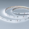 Лента DMX-A96-12mm 24V White6000-PX12 (14 W/m, IP20, 5m) (Arlight, CRI>90)