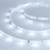 Лента RT-A30-8mm 24V Cool 8K (2.9 W/m, IP20, 2835, 5m) (Arlight, 2.9 Вт/м, IP20)