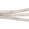 Лента RTW 2-5000PS 24V White6000 2x (3528, 600 LED, LUX) (Arlight, 9.6 Вт/м, IP67)