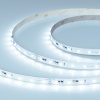 Лента IC-A60-10mm 24V Cool 8K (4.8 W/m, IP20, 2835, 20m) (Arlight, 4.8 Вт/м, IP20)