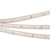 Лента RTW 2-5000PS 24V Cool 8K 2x (2835, 160 LED/m, LUX) (Arlight, 12 Вт/м, IP67)